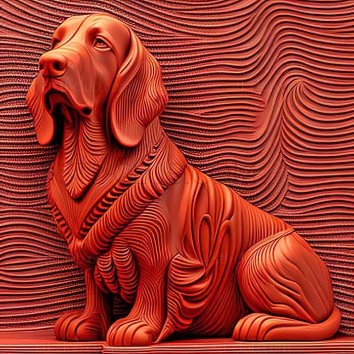 st Red Breton Basset dog